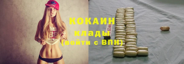 МДМА Бородино