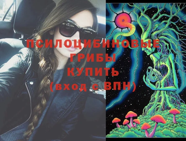 ешки Бугульма