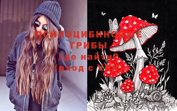 ешки Бугульма
