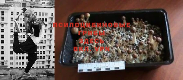 MDMA Premium VHQ Бронницы