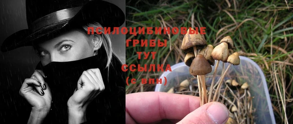 МДМА Бородино