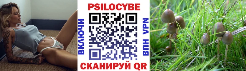 Псилоцибиновые грибы Cubensis  Купить где  Питкяранта 
